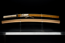 Katana Antigua Japonesa de Tachibana Munehiro con Koshirae Dorado