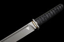 Espada Táctica Stealth Hawk Short Sword — Titanium Edition