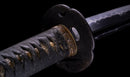 Katana Antigua Japonesa, Espada del Período Edo Tardío con Koshirae de Shishi