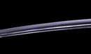 Katana Antigua Japonesa, Espada del Período Edo Tardío con Koshirae de Shishi