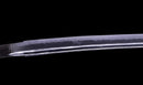 Katana Antigua Japonesa, Espada del Período Edo Tardío con Koshirae de Shishi