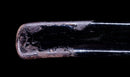 Katana Antigua Japonesa con Menuki de Libélula Tombo y Tsuba de Paisaje Sansui