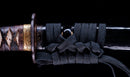 Katana Antigua Japonesa con Menuki de Libélula Tombo y Tsuba de Paisaje Sansui