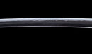 Katana Antigua Japonesa con Menuki de Libélula Tombo y Tsuba de Paisaje Sansui