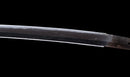 Katana Antigua Japonesa con Menuki de Libélula Tombo y Tsuba de Paisaje Sansui