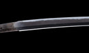 Katana Antigua Japonesa con Menuki de Libélula Tombo y Tsuba de Paisaje Sansui