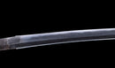 Katana Antigua Japonesa de Kaifu con Doble Hozon y Tsuba Gunbai Myōchin