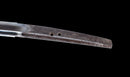 Katana Antigua Japonesa con Tsuba de Hierro de Sabios Sentados y Hamon Suguha, Mumei, Período Edo
