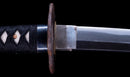 Katana Antigua Japonesa con Koshirae de Laca Negra y Tsuba de Hierro con Motivo de Plumas firmada Chikushi Tadamasa - Hozon