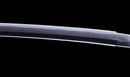 Katana Antigua Japonesa con Koshirae de Laca Negra y Tsuba de Hierro con Motivo de Plumas firmada Chikushi Tadamasa - Hozon