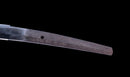 Katana Antigua Japonesa con Koshirae de Laca Negra y Tsuba de Hierro con Motivo de Plumas firmada Chikushi Tadamasa - Hozon
