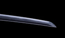 Katana Antigua Japonesa con Koshirae de Laca Negra y Tsuba de Hierro con Motivo de Plumas firmada Chikushi Tadamasa - Hozon