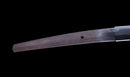 Katana Antigua Japonesa con Koshirae de Laca Negra y Tsuba de Hierro con Motivo de Plumas firmada Chikushi Tadamasa - Hozon