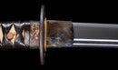 Katana Antigua Japonesa con Tsuba Sukashi de Hierro Floral, Hoja Mumei del Período Edo