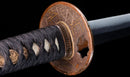 Katana Antigua Japonesa con Tsuba de Hierro con Incrustaciones de Oro, Atribuida a Chikuzen Nobukuni — NBTHK Hozon