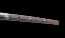 Katana Antigua Japonesa con Tsuba de Hierro con Incrustaciones de Oro, Atribuida a Chikuzen Nobukuni — NBTHK Hozon