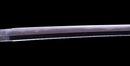 Katana Antigua Japonesa firmada Hitachi no Kami Muneshige, NBTHK Hozon
