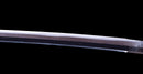 Katana Antigua Japonesa firmada Takada Jū Fujiwara Muneyuki - HOZON