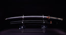 Katana Antigua Japonesa de la Escuela Ishido - NBTHK Hozon