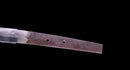 Katana Antigua Japonesa de la Escuela Ishido - NBTHK Hozon
